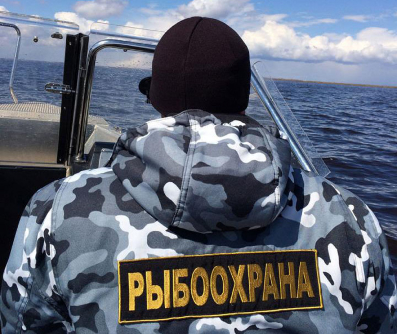 Показатели работы Северо-Восточного ТУ Росрыболовства за прошедшую неделю