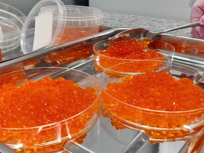 Российские производители обеспечивают страну икрой: репортаж телеканала “Россия-24”