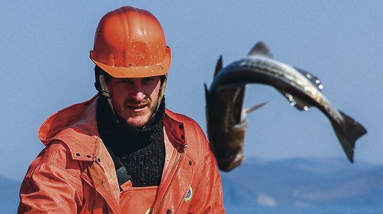 Российские рыбаки добыли свыше 4,2 млн тонн водных биоресурсов