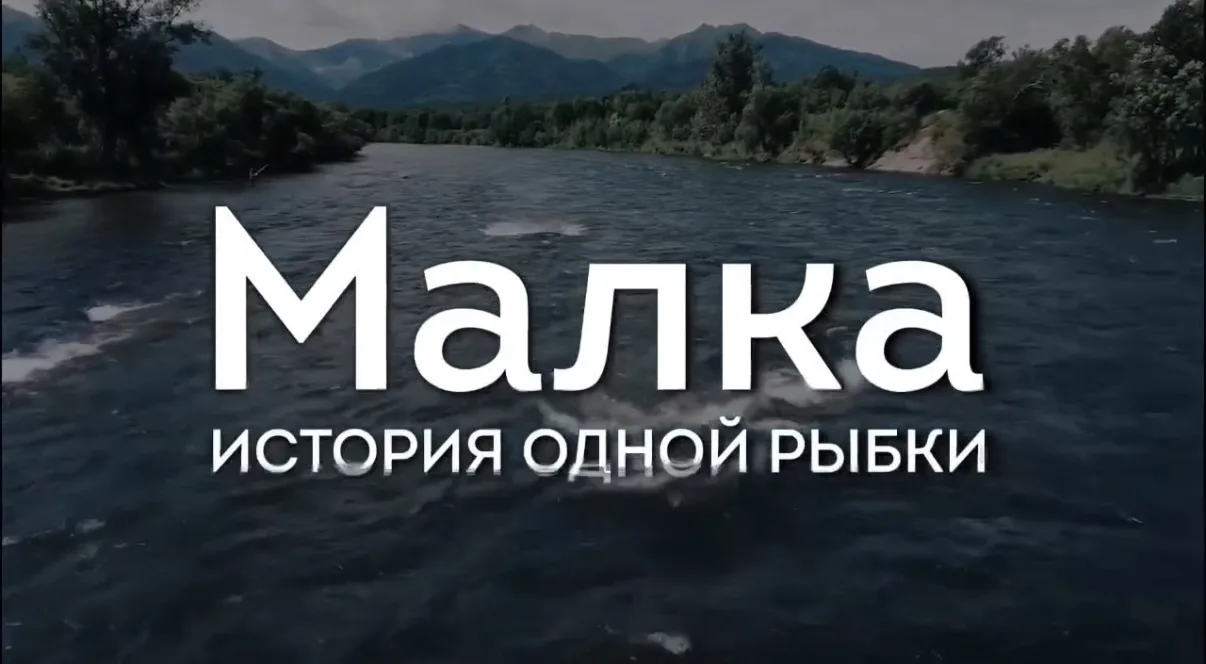 12 февраля 2026 года заместитель руководителя Северо-Восточного ТУ Росрыболовства Герасименко Александр Николаевич совместно с представителями Северо-Восточного филиала ФГБУ «Главрыбвод» провели встречу с учениками МАОУ «Средняя школа № 1»