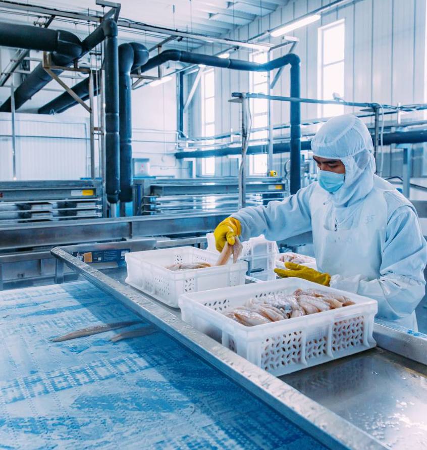 Общероссийский вылов превысил 326 тыс. тонн