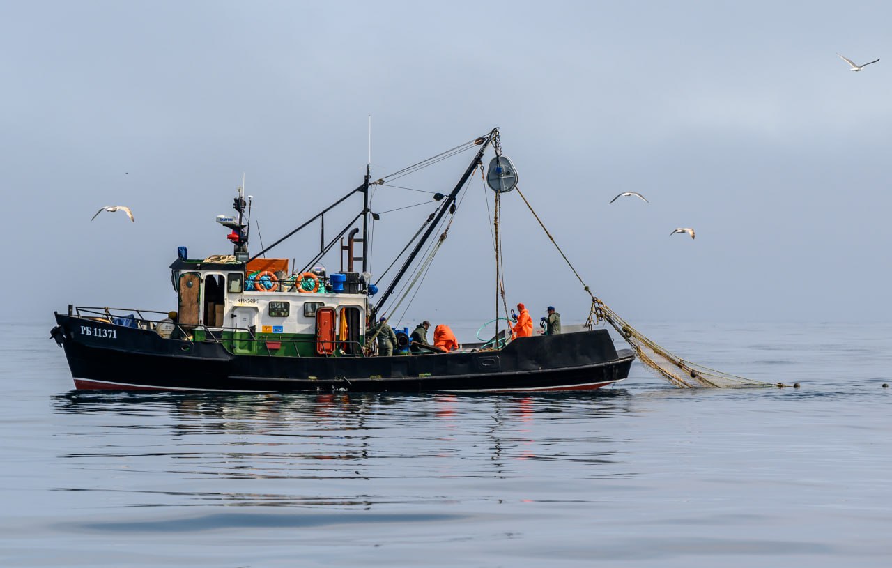 Михаил Мишустин дал поручения по итогам совещания Президента с членами Правительства о развитии рыбохозяйственного комплекса