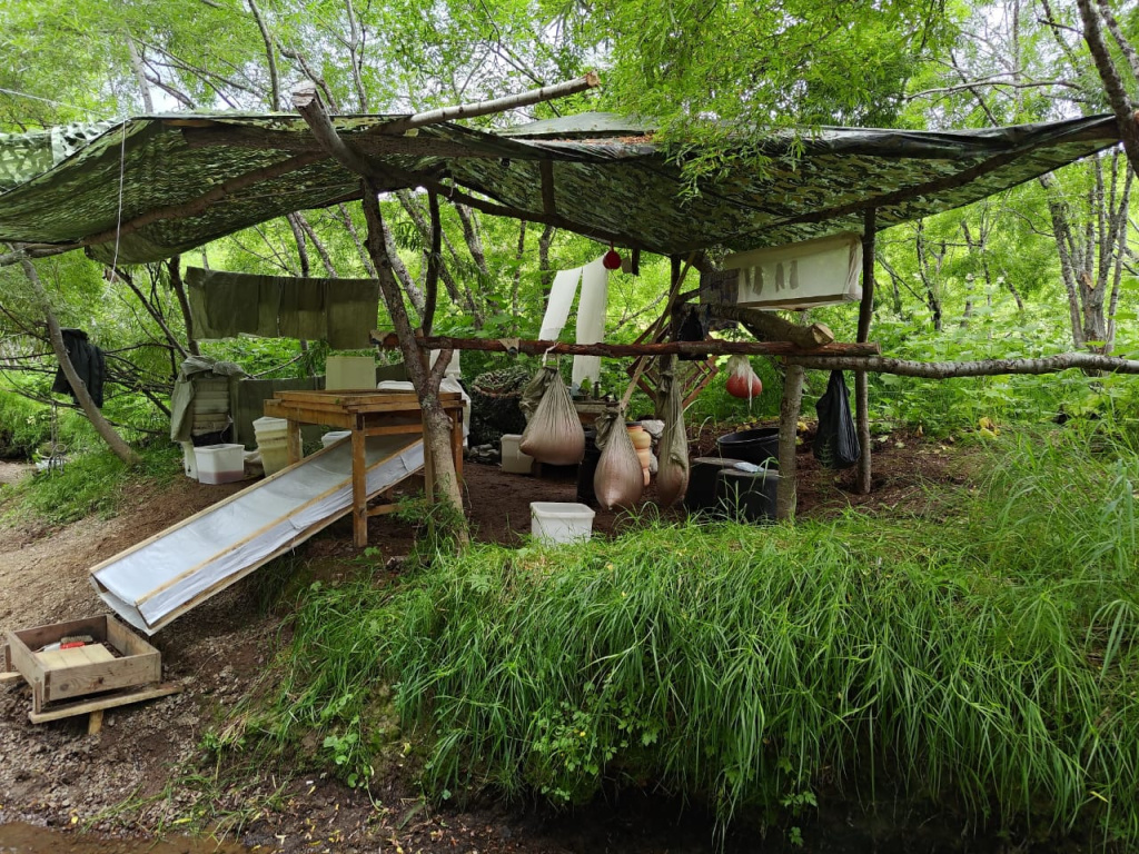 WhatsApp Image 2025-08-07 at 11.23.51.jpeg