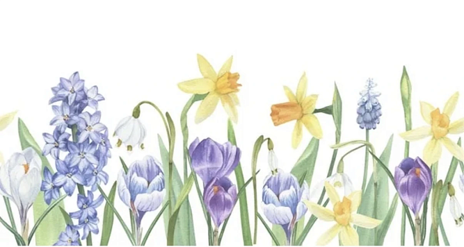 Поздравление руководителя Северо-Восточного ТУ Росрыболовства Юрия Татаринова с Международным женским днём.