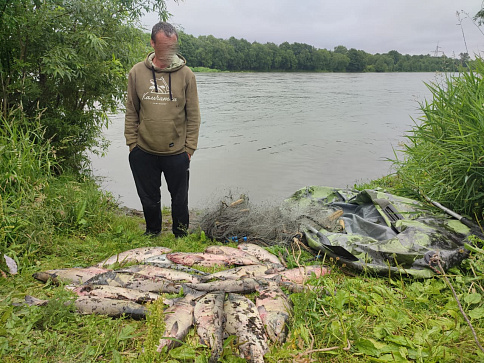 Браконьер задержан на реке Авача: ущерб превысил 114 тысяч рублей