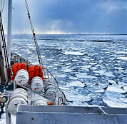 Российские рыбаки добыли более 4,4 млн тонн водных биоресурсов