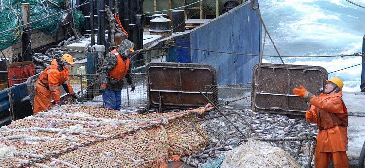 По данным отраслевой системы мониторинга Росрыболовства (ЦСМС), вылов водных биоресурсов всеми российскими пользователями составил 4380,3 тыс. тонн.