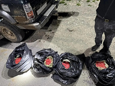 Более 450 кг красной икры изъято у браконьеров на Камчатке