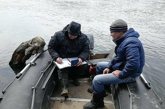 Больше 80 нарушений выявили рыбинспекторы за неделю на камчатке • Новости Камчатки