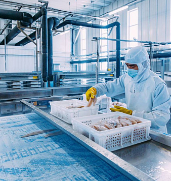 Общероссийский вылов превысил 326 тыс. тонн